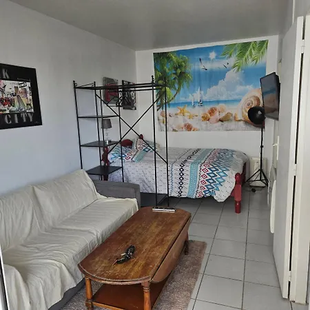 Face Au Bassin Plein Centre D Arcachon