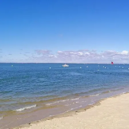 Face Au Bassin Plein Centre D *