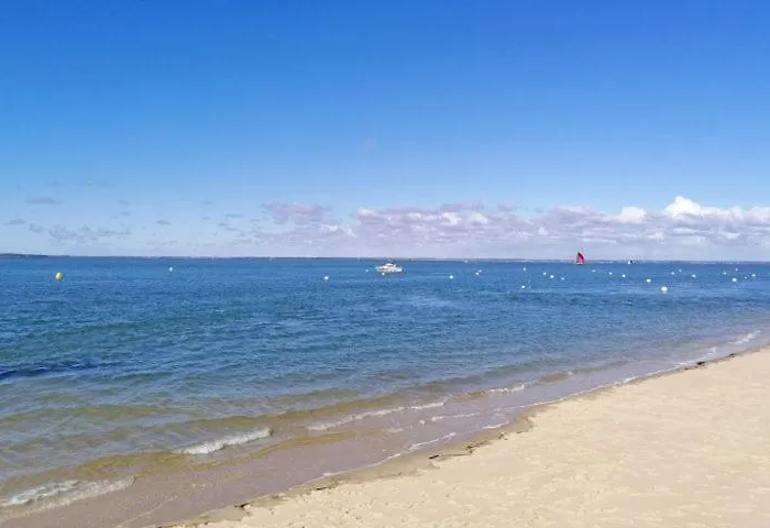 Face Au Bassin Plein Centre D *